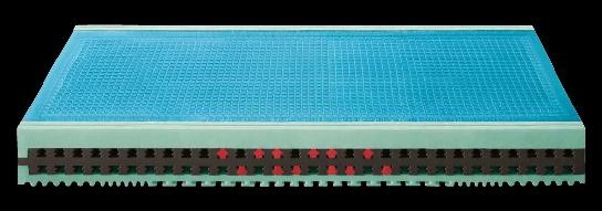 Scholl - Top